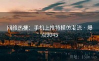 网络热梗：手机上推特模仿潮流 · 爆点9045