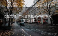 奇怪发现：YSL蜜桃色WWW被曝光 · 热点3981